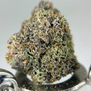 MANGO MADNESS🥭💥