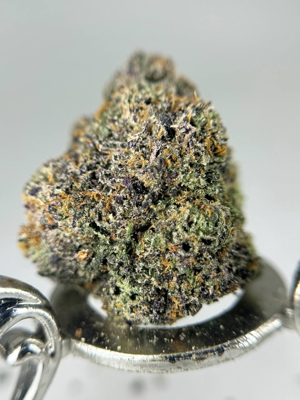 MANGO MADNESS🥭💥