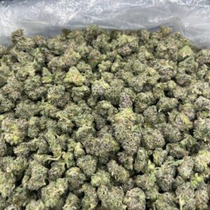 BLUEBERRIES AND CREAM SMALLS🫐🍼