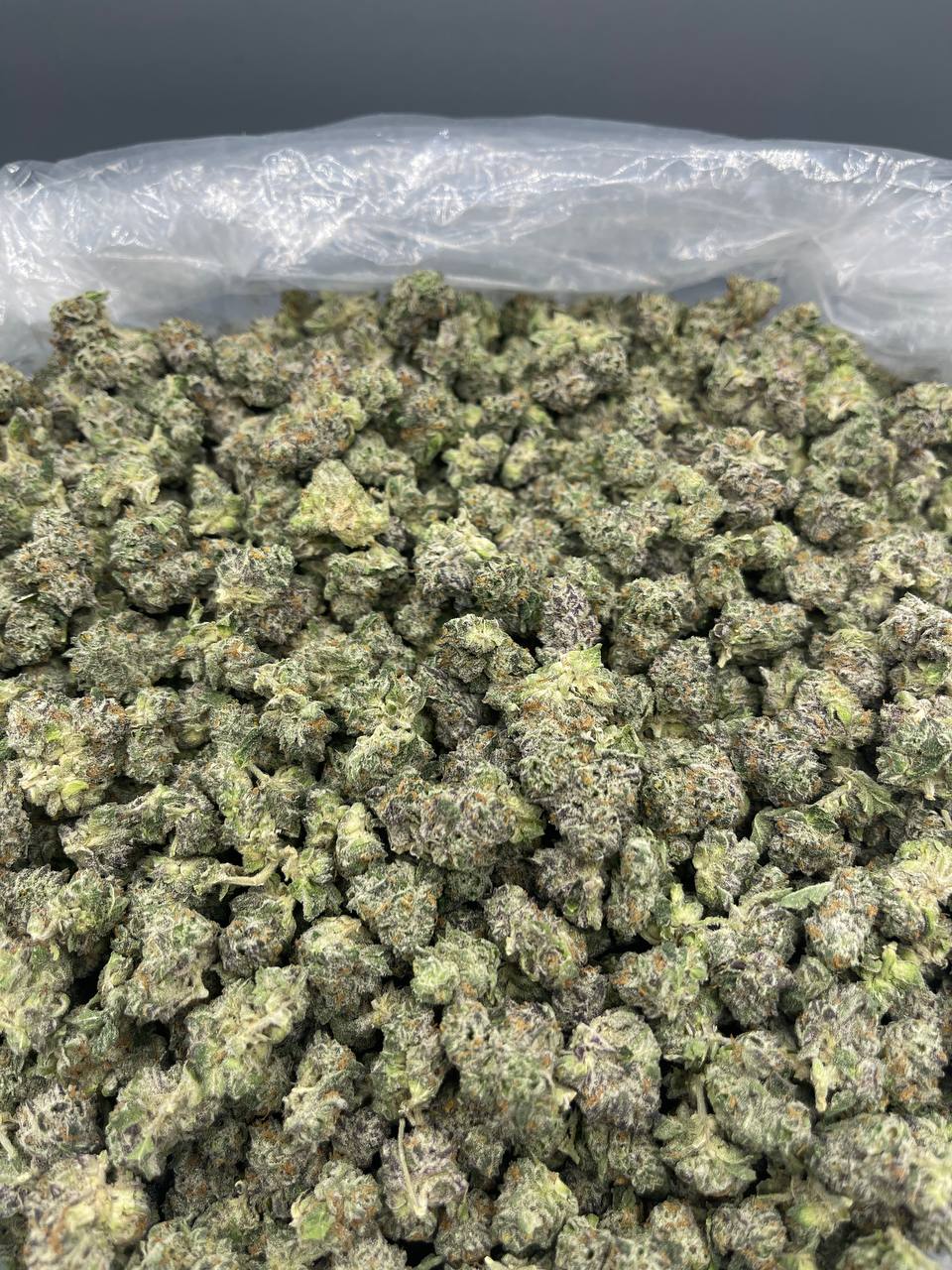 BLUEBERRIES AND CREAM SMALLS🫐🍼