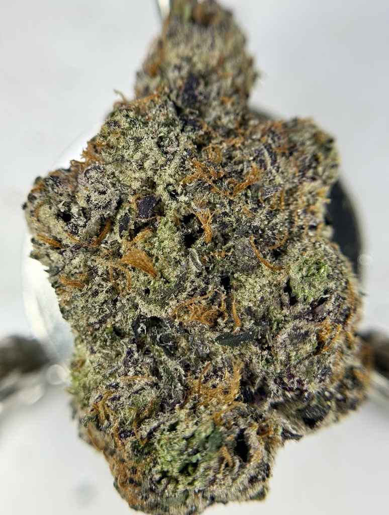 VANILLA LOLLIPOP 🍨🍭