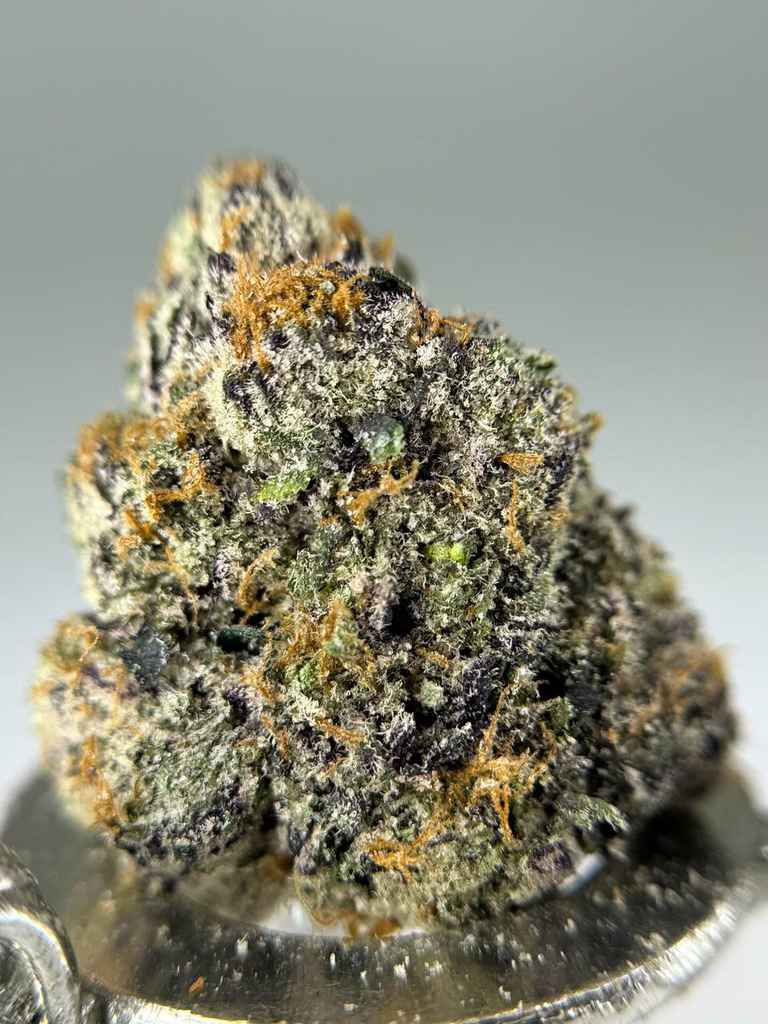 MANGO LEMON BREATH🥭🍋