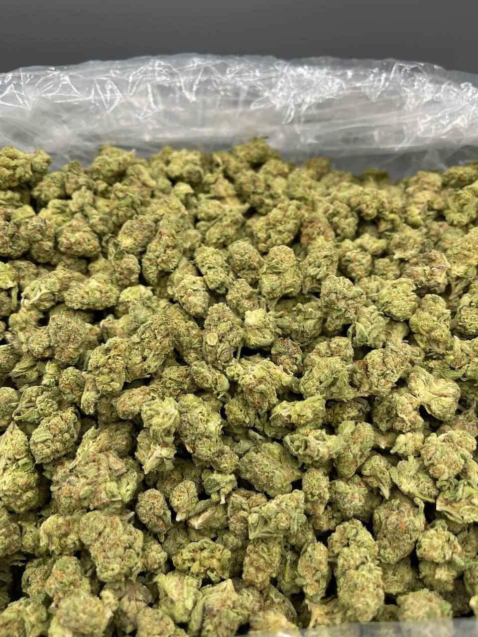 NSFW SMALLS🔞🔥 - Image 2