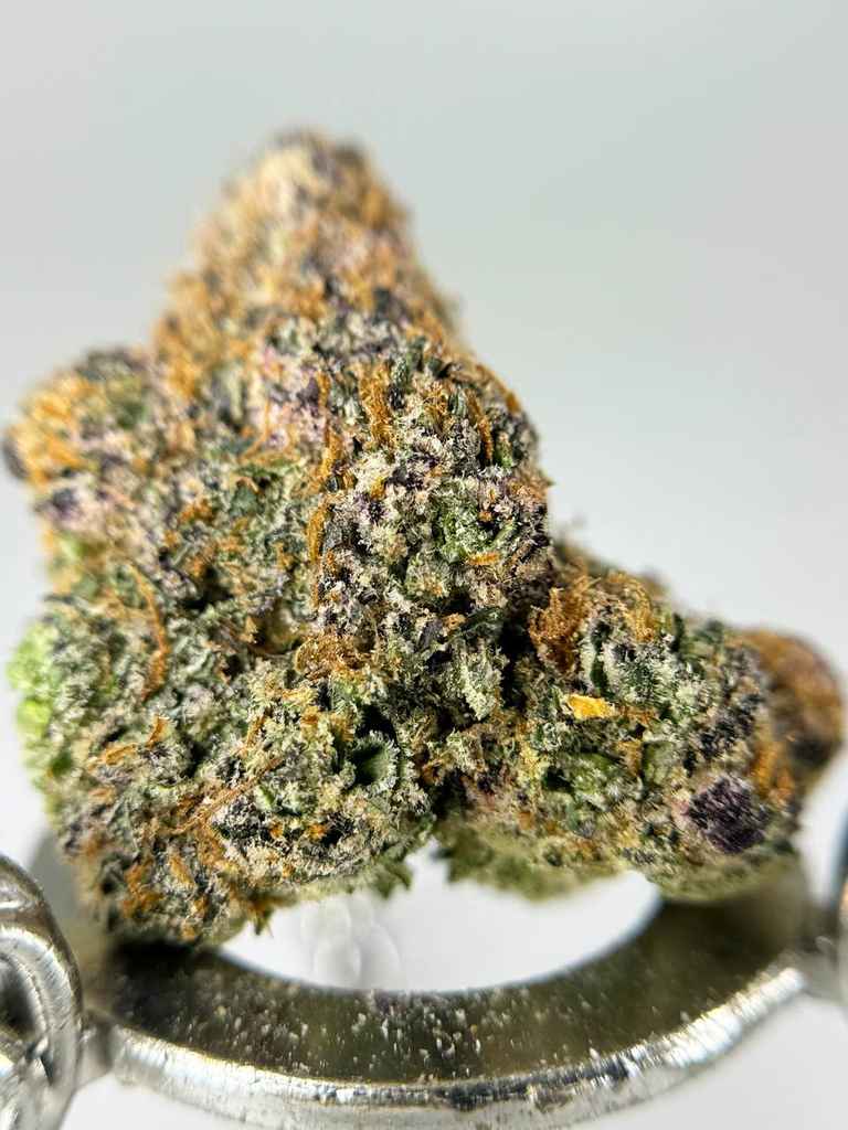 CITRUS EXPLOSION🍊💥