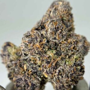 GELATO DREAM😴🍡