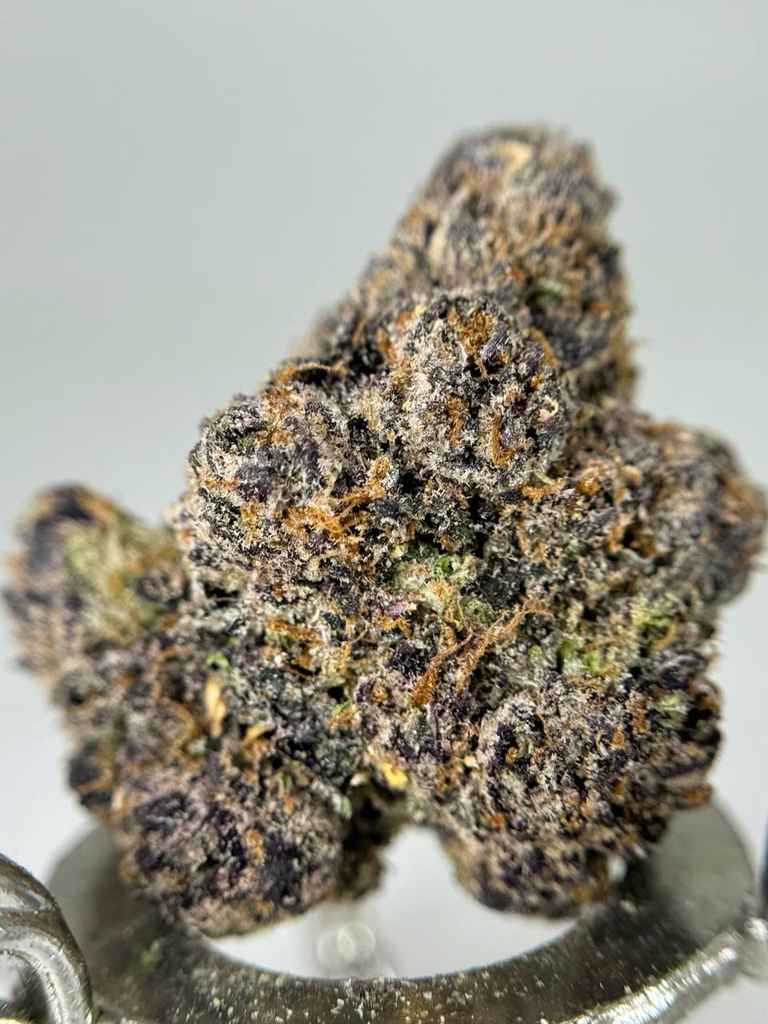 GELATO DREAM😴🍡