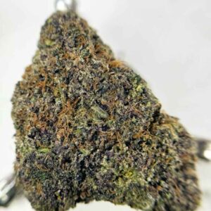 PASSION BERRY🍓❤️