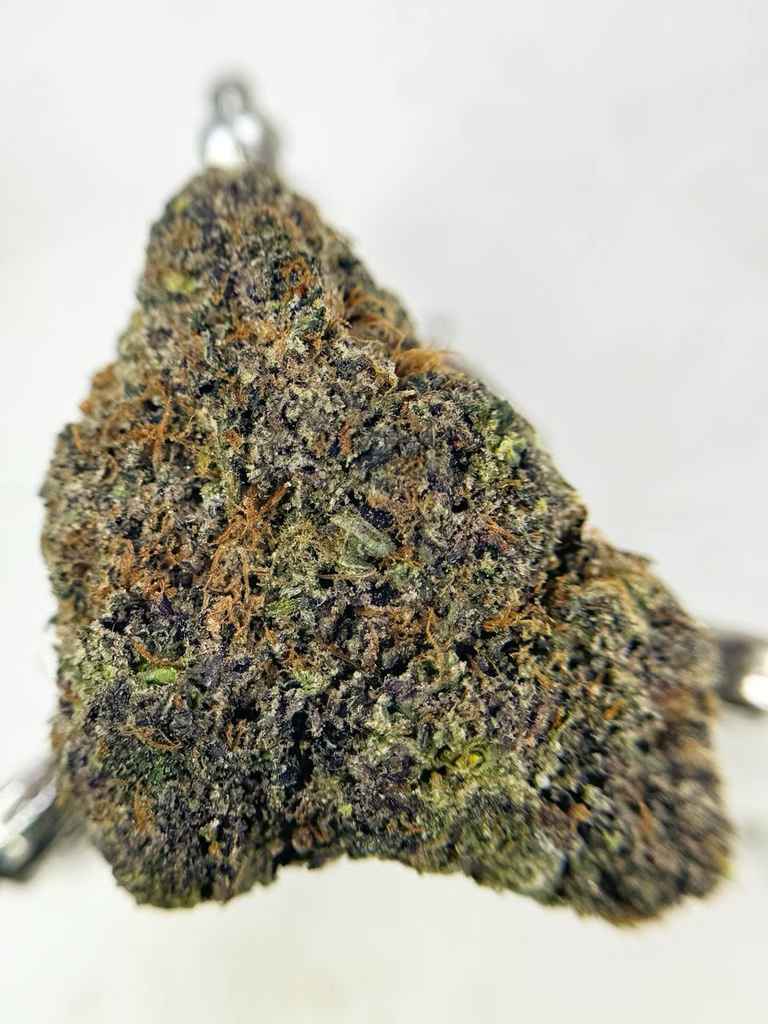 PASSION BERRY🍓❤️