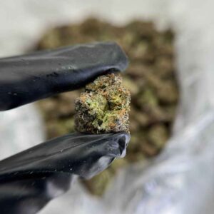 LEMON-LIME SODA🍋🥤