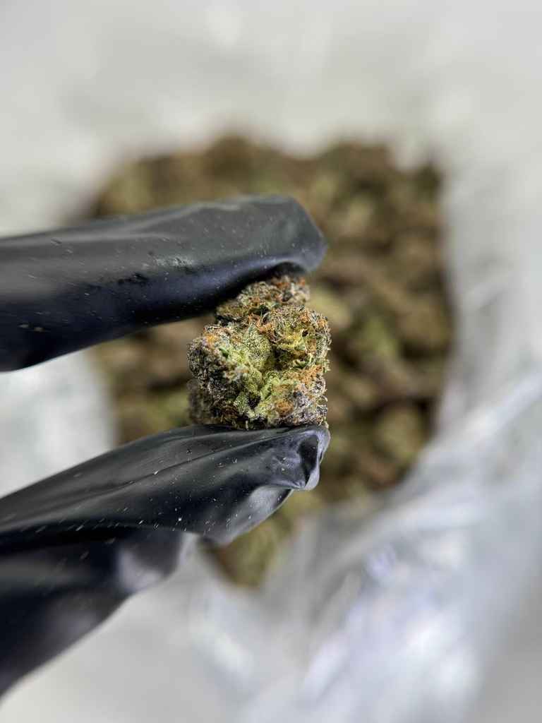 LEMON-LIME SODA🍋🥤