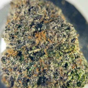 LEMON CANDY GUMDROPZ🍋🍭