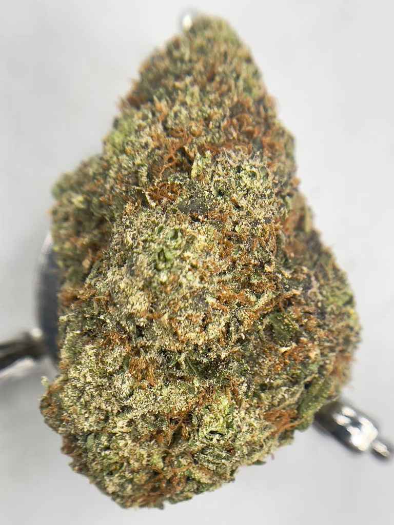 WATERMELON ICE🍉🧊 - Image 2