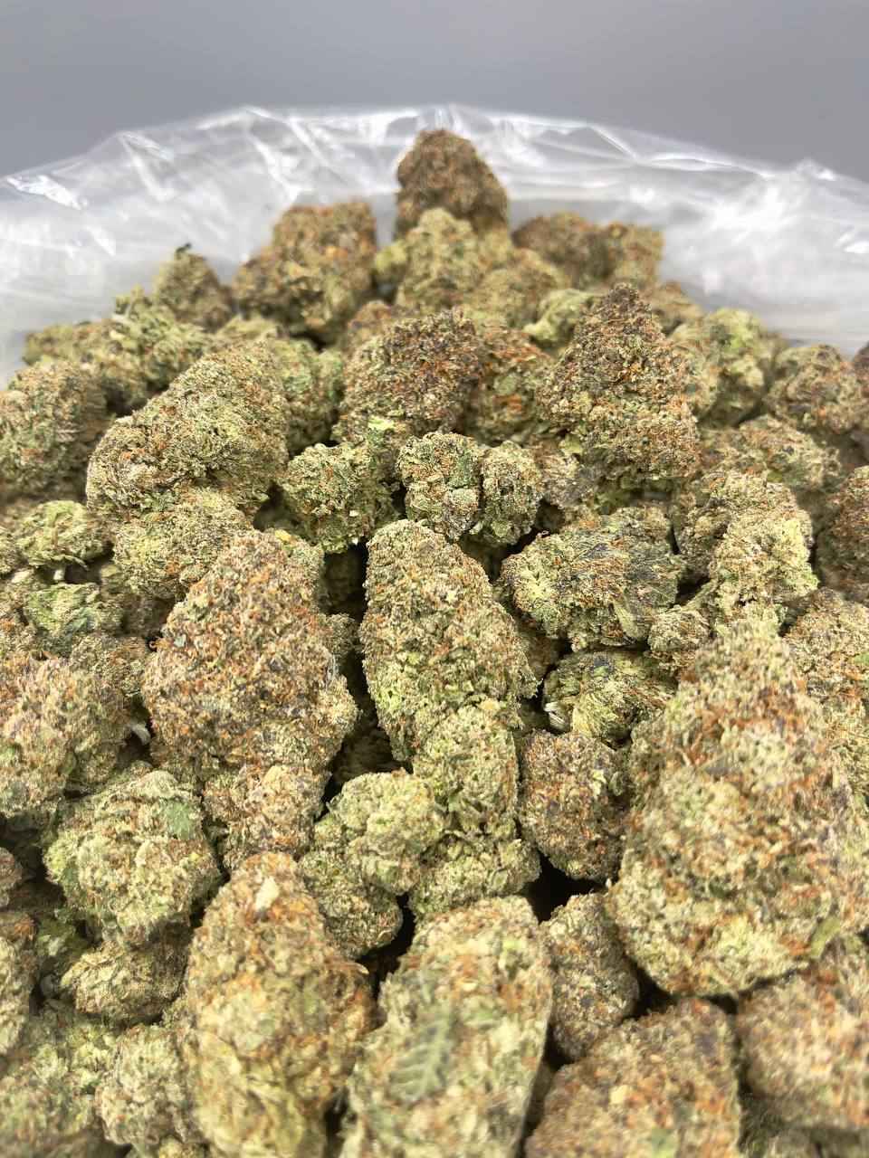 WATERMELON ICE🍉🧊