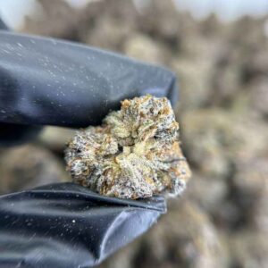 LEMON VUITTON🍋👜