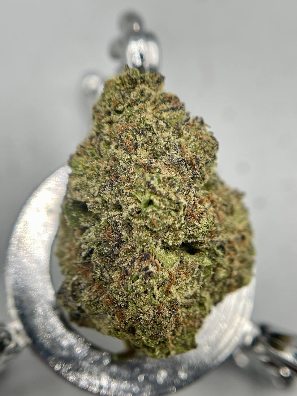 WATERMELON MOJITO🍉🍹