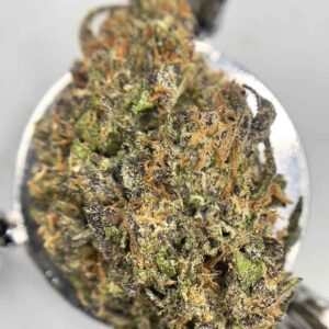 CALI ZMOOTHIE🧉🌴