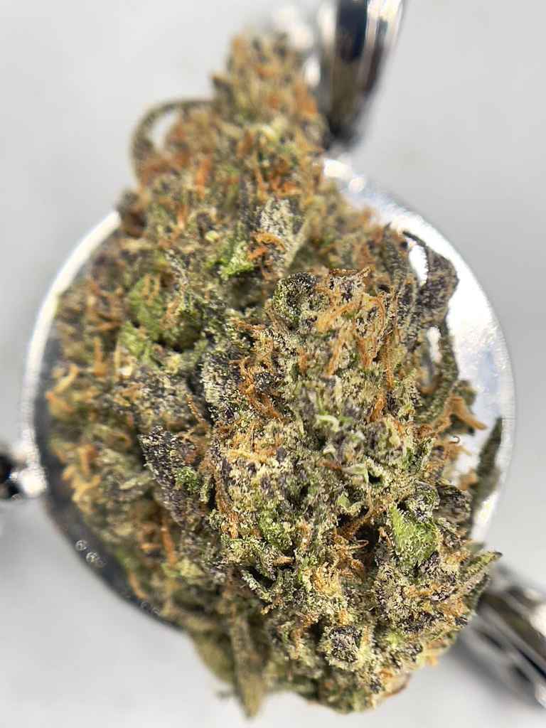 CALI ZMOOTHIE🧉🌴