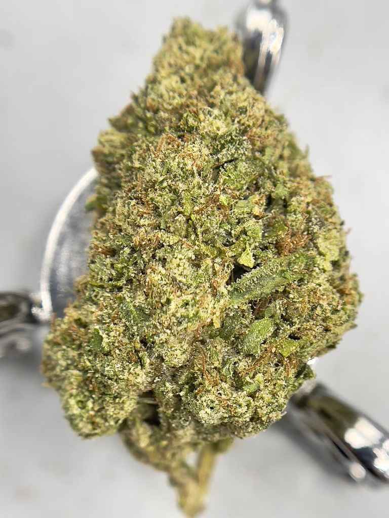 SWEET CANDY BELTZ🍭🍡