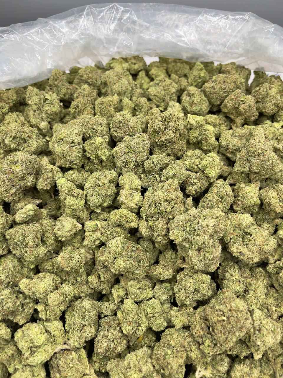 HONEY LEMON TEA🍯🍵 - Image 3