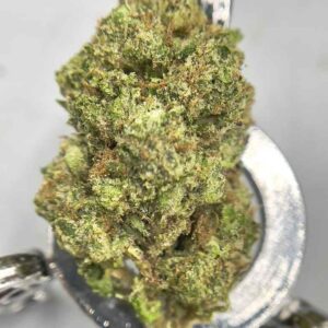 HONEY LEMON TEA🍯🍵