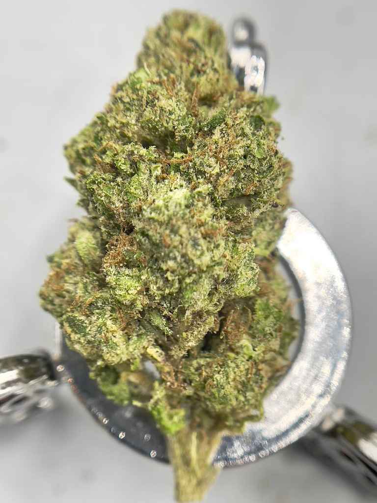 HONEY LEMON TEA🍯🍵