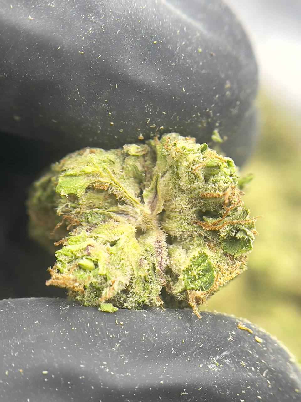 HONEY LEMON TEA🍯🍵 - Image 2