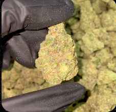 LICENSED AAA CLEARANCE PACKS