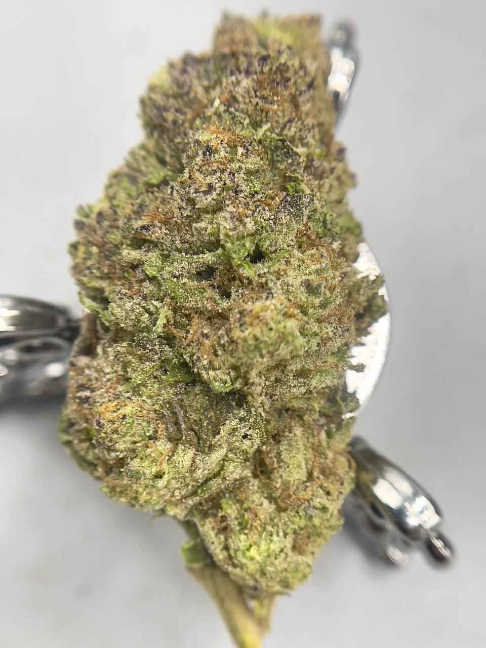 GUSHERS x STRAWNANA🍓🍌