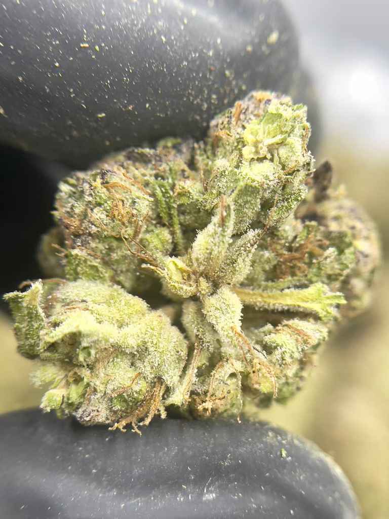 GUSHERS x STRAWNANA🍓🍌 - Image 3