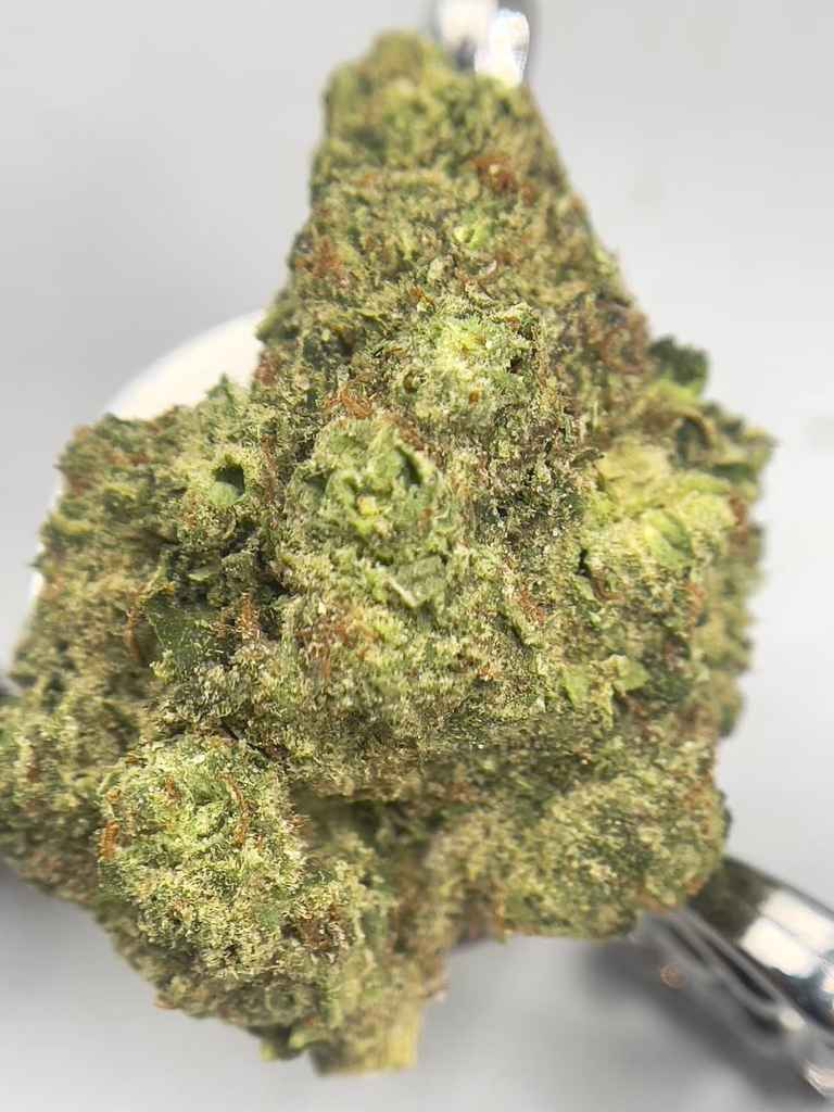 KRYPTOCHRONIC🤑⛽️