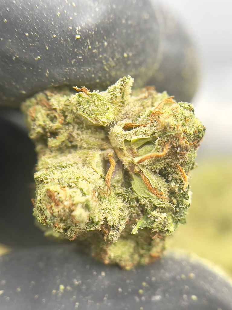 KRYPTOCHRONIC🤑⛽️ - Image 3