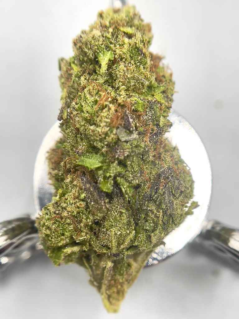 GRAPE ZANGRIA🍇🍷