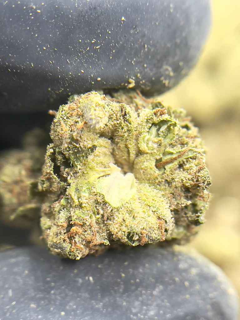 PINEAPPLE STARBURST🤩🍍 - Image 3