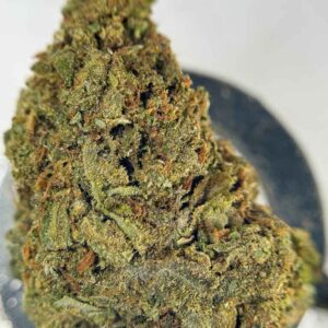 FRUIT PUNCH 🍎🥤