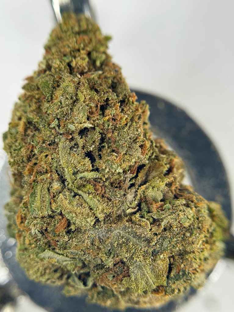 FRUIT PUNCH 🍎🥤