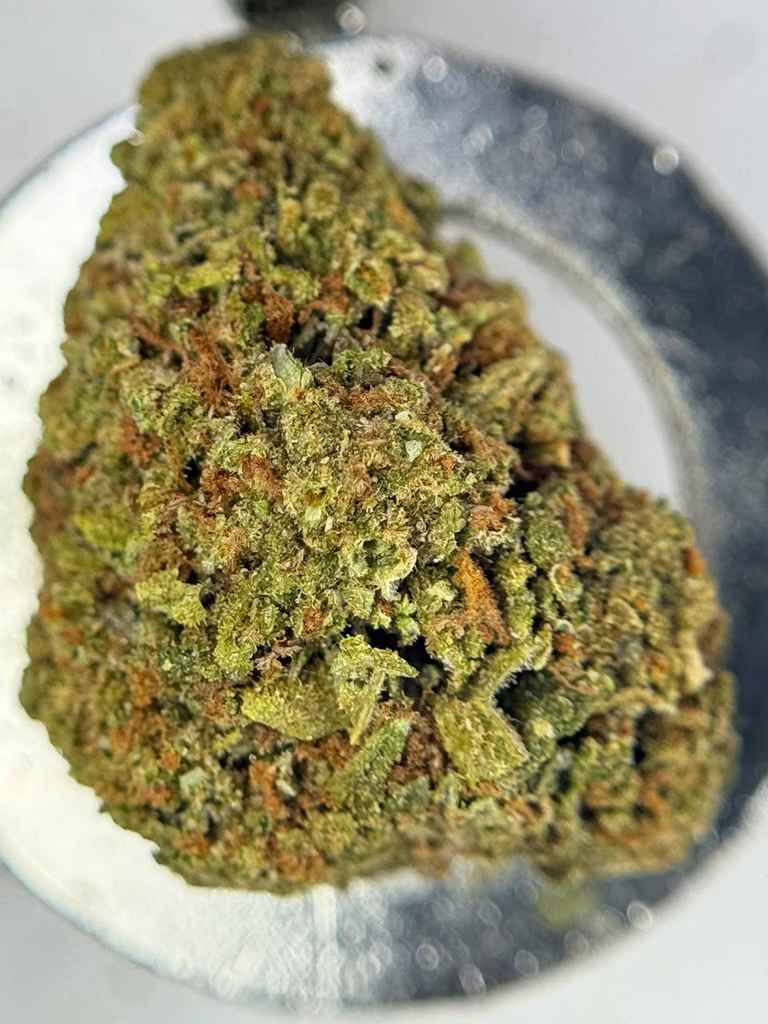 KIWI STRAWBERRY🥝🍓