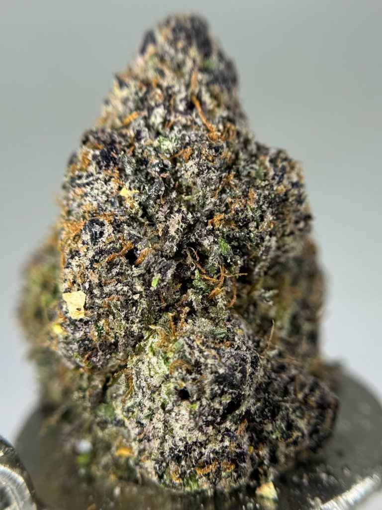 GRAPE SWISHER SWEETSππ¬