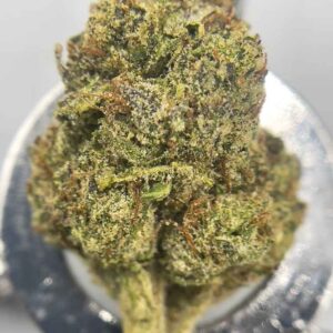 BIG BLUE GOO 🧊 💦