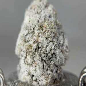 INCREDIBLE SNOWCAPS ☃️❄️