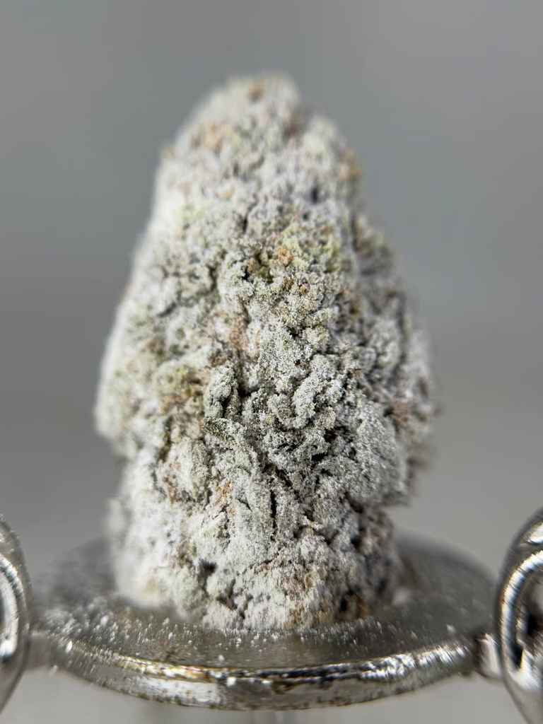 INCREDIBLE SNOWCAPS ☃️❄️