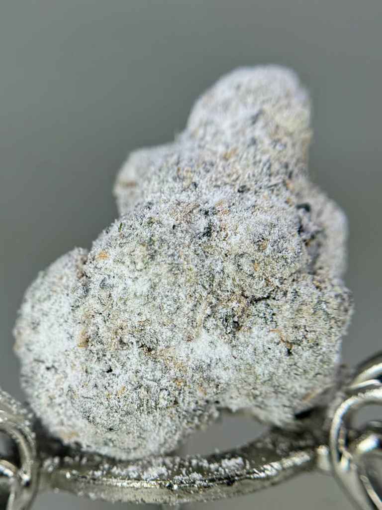 INCREDIBLE SNOWCAPS☃️❄️