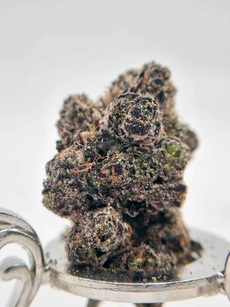 DARK LOLLIPOP 🍭🖤