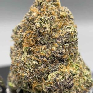 ORANGE ICE POPS 🍊🧊