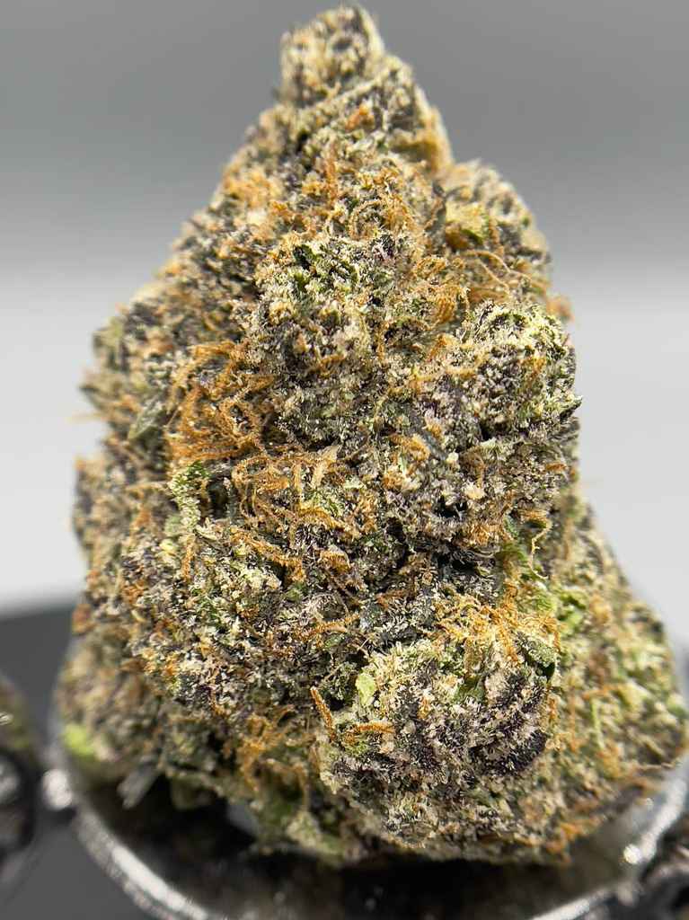 ORANGE ICE POPS 🍊🧊