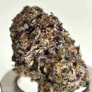 CHERRY PIE JAM 🍒🥧