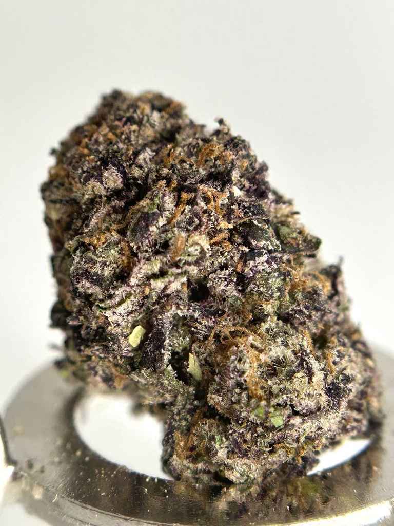 CHERRY PIE JAM 🍒🥧