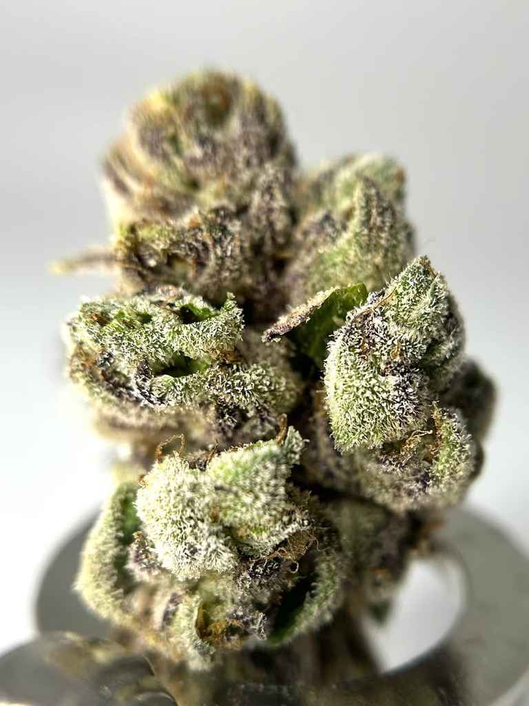 FRENCH ALPS by Cannabiotix🏔🇫🇷