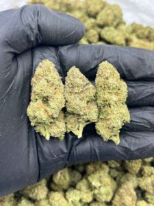 AAA CLEARANCE UNITS 🤑🔥