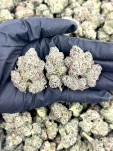 EXOTIC CLEARANCE UNITS 🤯💸