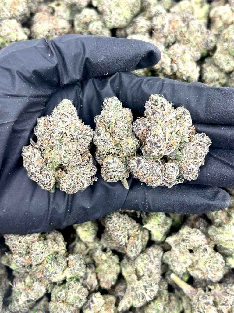 EXOTIC CLEARANCE UNITS 🤯💸